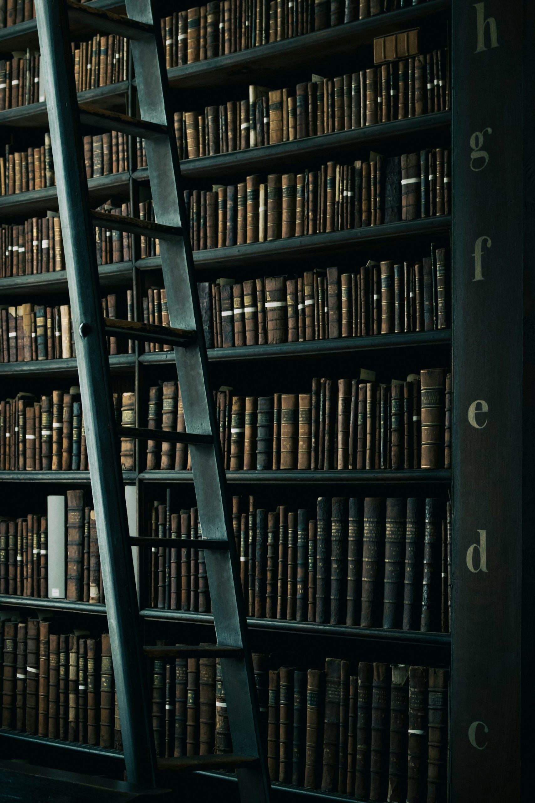 enrico bet lc7xcwebecc unsplash